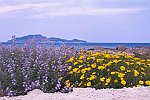 10 DSC_0046  r  